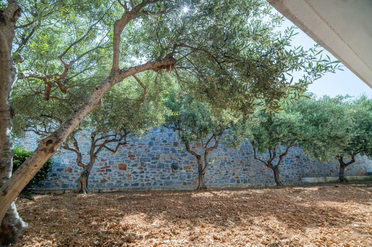Semiramis Village Hotel Hersonissos  Esterno foto
